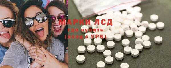 шишки Арсеньев