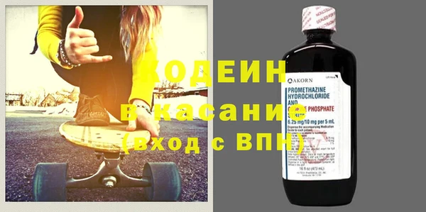 шишки Арсеньев