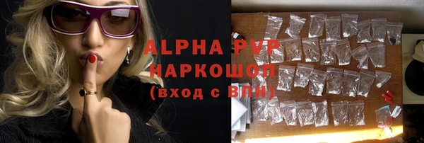 шишки Арсеньев