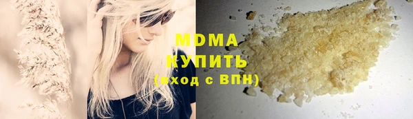 шишки Арсеньев