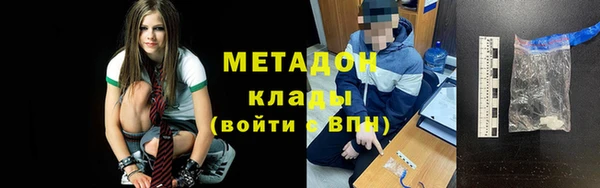 шишки Арсеньев