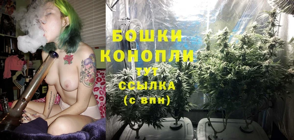 дживик Аркадак