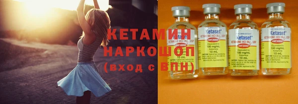 шишки Арсеньев