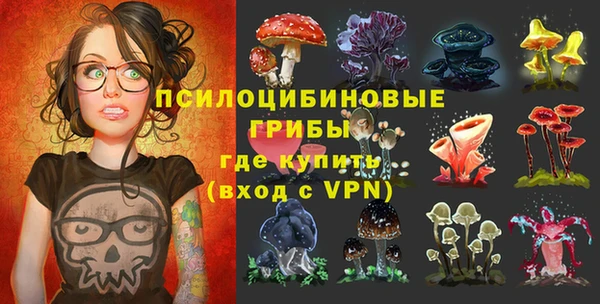 шишки Арсеньев