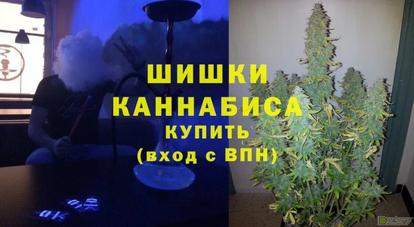 шишки Арсеньев